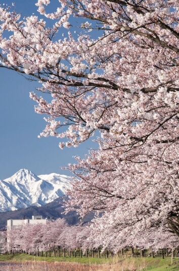 上越市の写真