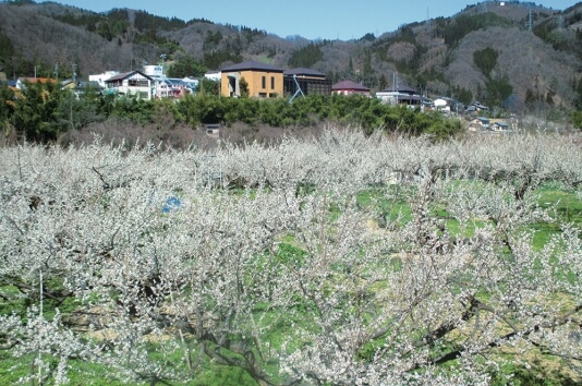 信州新町の写真