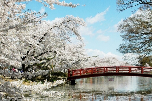 須坂市の写真