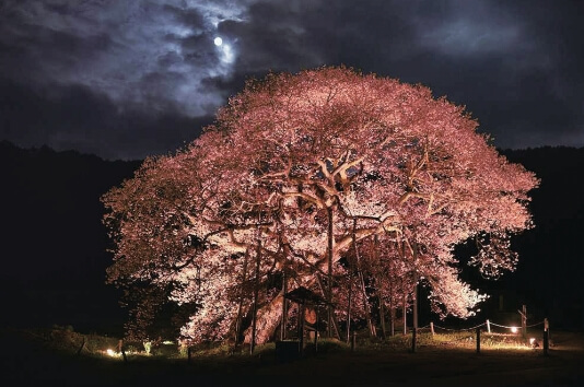 高山村の写真