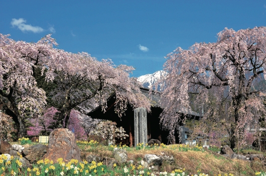 駒ヶ根市の写真